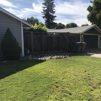 Stumpy's Tree Service - Tree Services Near Me - Livermore, California Stumpy's Tree Service - Tree Services Near Me - Livermore, California