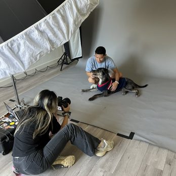 Belva Chan Photography - Session Photography Near Me Belva Chan Photography - Session Photography Near Me