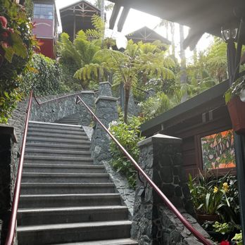 Shadowbrook - The funicular which you can ride down to the venue or back up after a fabulous meal. - American Near Me - Capitola, California Shadowbrook - The funicular which you can ride down to the venue or back up after a fabulous meal. - American Near Me - Capitola, California