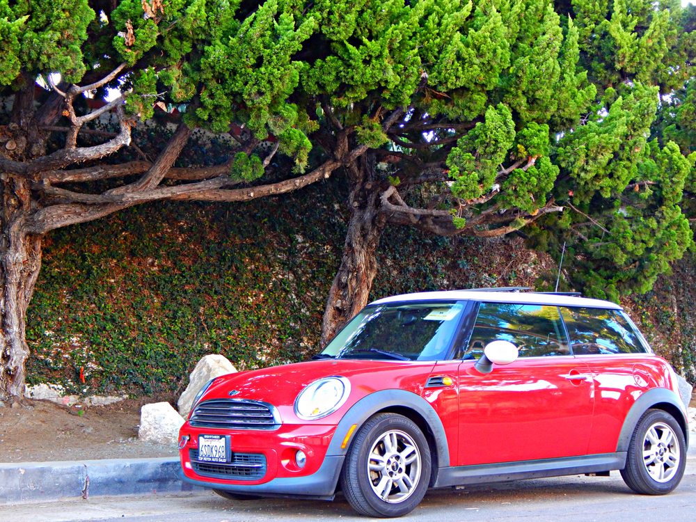 TOP NOTCH AUTO LOCATORS Updated September 2024 34 Photos & 66