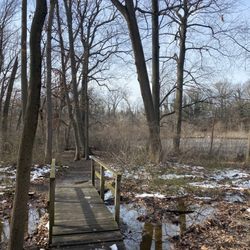 Wallworth Pond