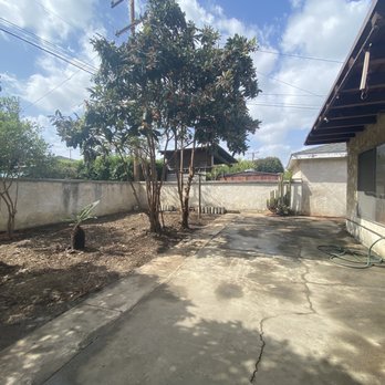 Ditman Tree Service - After everything was cleared out and the trees were trimmed. - Tree Services Near Me Ditman Tree Service - After everything was cleared out and the trees were trimmed. - Tree Services Near Me