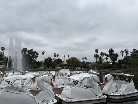 Echo Park Swan Boats by Wheel Fun Rentals by null