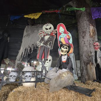 Acostas Pumpkin Patch and Christmas Trees - Acosta's Pumpkin Patch Oct 2025 - Christmas Trees Near Me - Redondo Beach, California