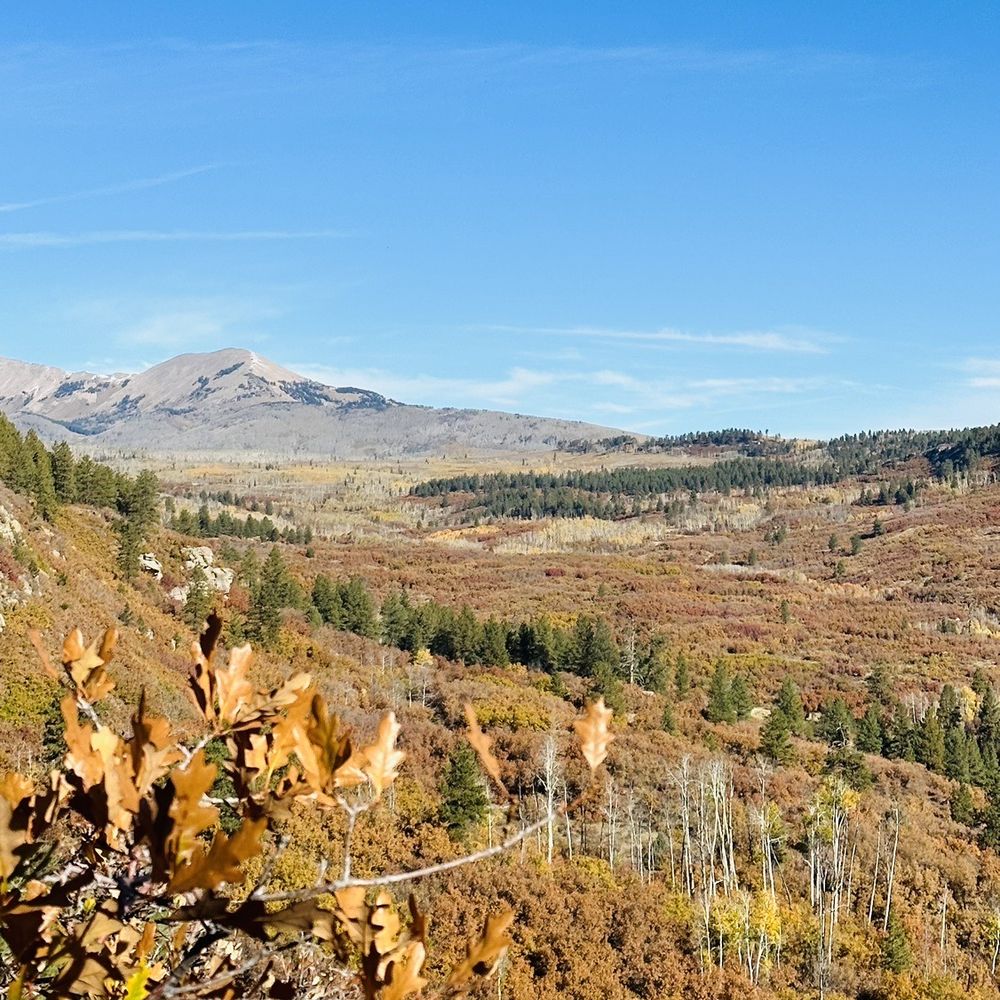 Mountain Joe's Trail Rides - Fall colors - Horseback Riding Near Me - Monticello, Utah Mountain Joe's Trail Rides - Fall colors - Horseback Riding Near Me - Monticello, Utah
