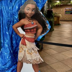 Veterans Memorial Leisure Services Center - This years theme for the kids camp is Moana 2!