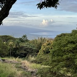 A Cut Above Tree Services - Opened up view to the South from Captain Cook