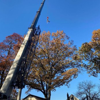 Green Holly Arborists - Tree Services Near Me Green Holly Arborists - Tree Services Near Me