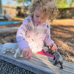Novato Parents Nursery School - The Little Explorers Preschool