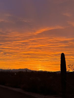 Gilbert Ray Campground by null