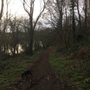 Photo of Mountsandel Forest