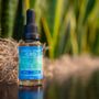 Photo of Coastal Green Wellness
