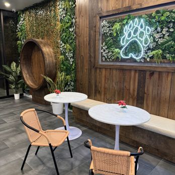 Daboba - Seating area - Desserts Near Me - Pearland, Texas