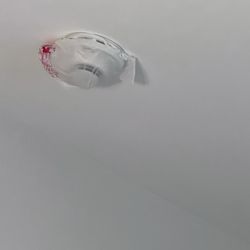 Holiday Inn Express Oneonta - This is the bag that's over the smoke alarm in the room for 412.
