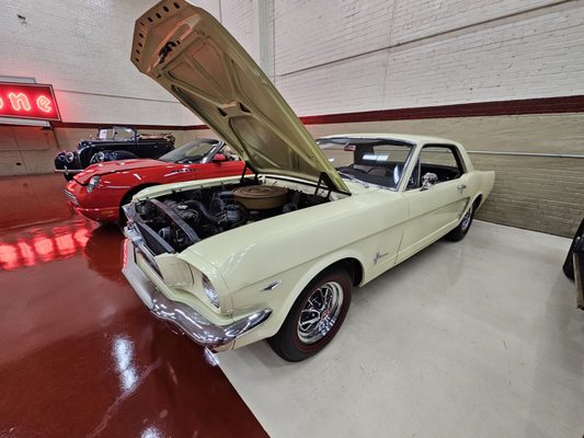 AutoBarn Classic Cars by null