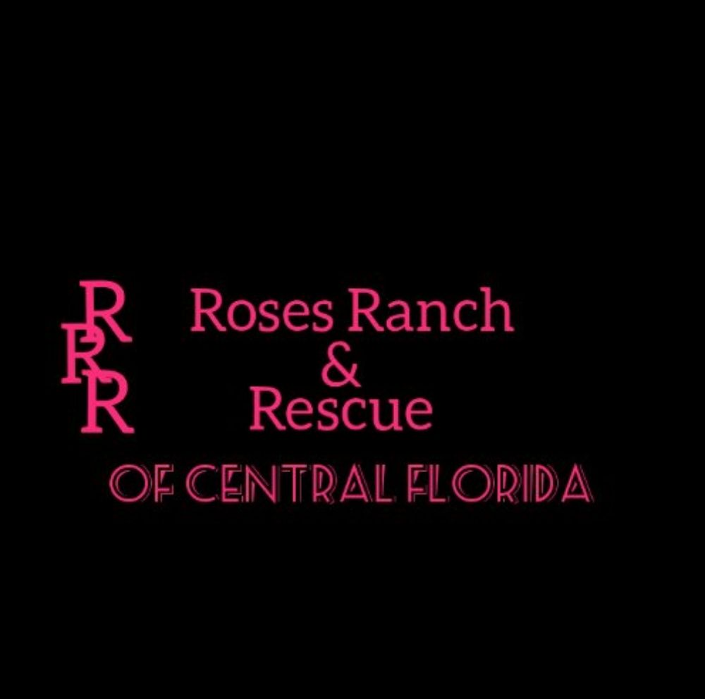 Roses Ranch And Rescue Image