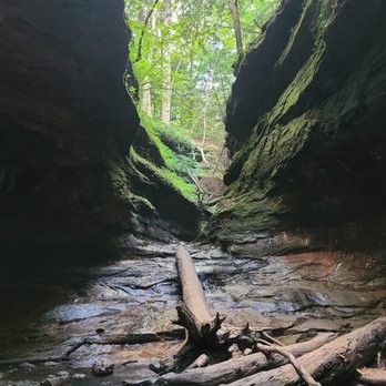 Turkey Run State Park - The trail goes up the water. Absolutely stunning. - Parks Near Me - Marshall, Indiana Turkey Run State Park - The trail goes up the water. Absolutely stunning. - Parks Near Me - Marshall, Indiana