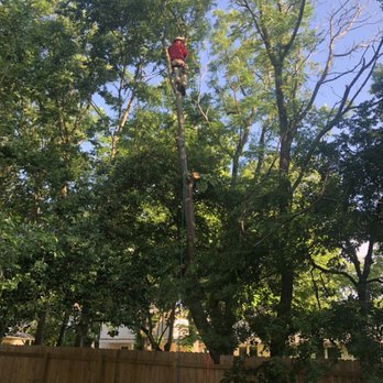 E & L Tree Service - Tree Services Near Me E & L Tree Service - Tree Services Near Me