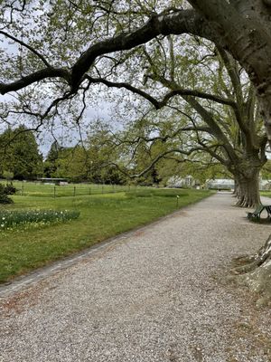 Conservatoire et Jardin botaniques de Genève by null
