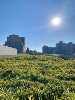 Contemporary Art Museum St. Louis by null