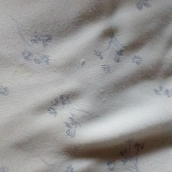 Home Goods - Bamboo sheets. This is second wash. Pilling l. - Home Decor Near Me - Saratoga Springs, New York Home Goods - Bamboo sheets. This is second wash. Pilling l. - Home Decor Near Me - Saratoga Springs, New York