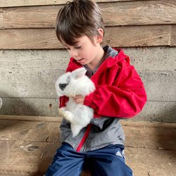 Bode Farms Rescue & Sanctuary - Message or text to schedule your visit