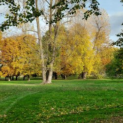 Park Letná