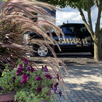 Swarm Pest Professionals - Pest Control Near Me - Rochester, New York Swarm Pest Professionals - Pest Control Near Me - Rochester, New York