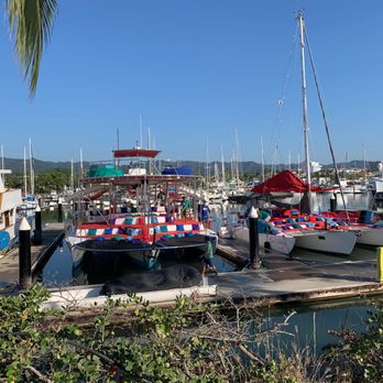 Chica Locca Tours - Boat Tours Near Me - Puerto Vallarta, JAL Chica Locca Tours - Boat Tours Near Me - Puerto Vallarta, JAL