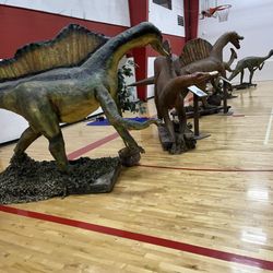 Hype Athletics - Dino exhibit