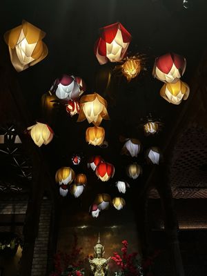 Elephant East by null