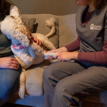 Caring Pathways - Charlotte - Veterinarians Near Me - Charlotte, North Carolina Caring Pathways - Charlotte - Veterinarians Near Me - Charlotte, North Carolina