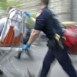 Great Lakes Ems Academy Inc