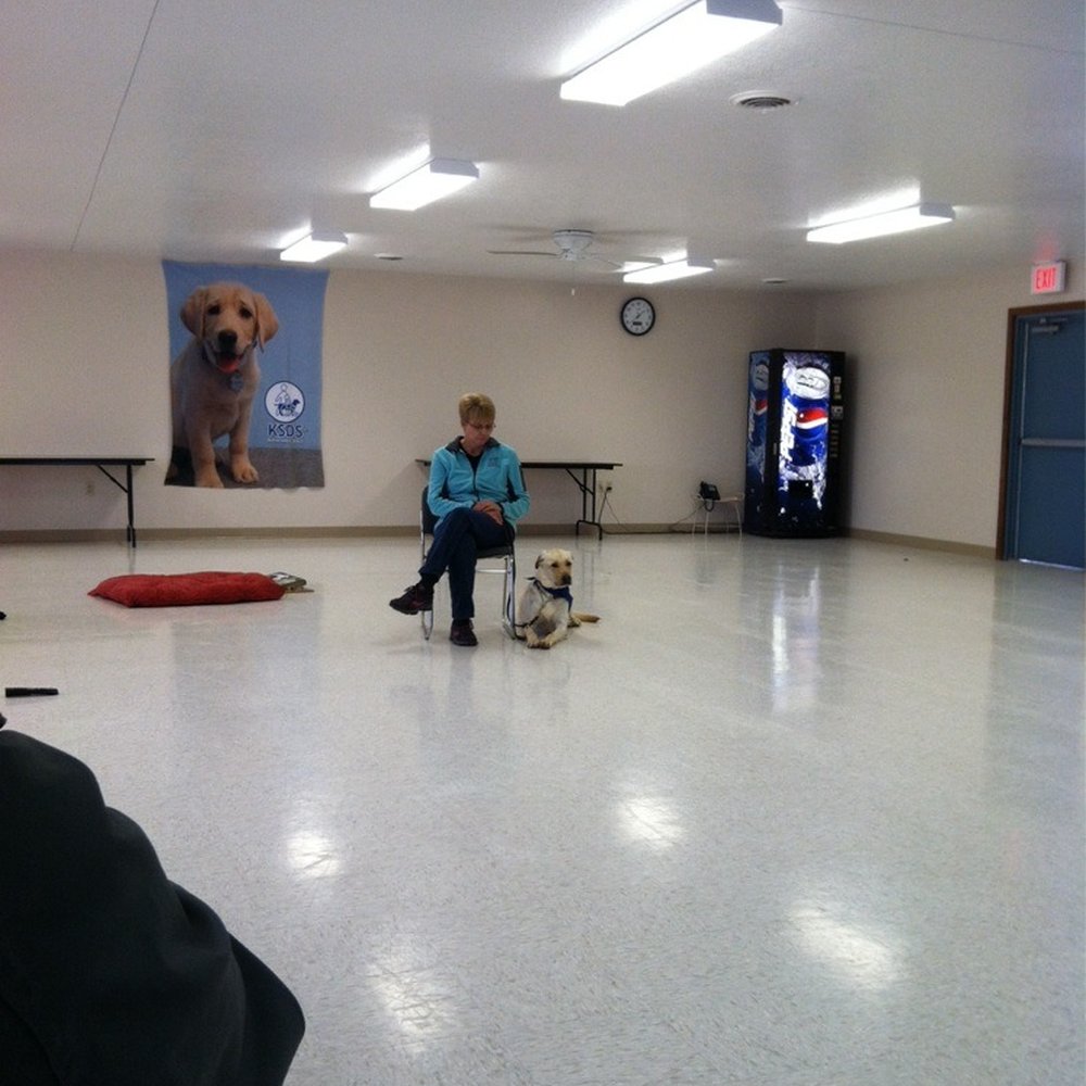 Ksds - Training center for facility dogs for the impaired. Breeding, training of labs and golden retrievers A large facility - Pet Services Near Me - Washington, Kansas Ksds - Training center for facility dogs for the impaired. Breeding, training of labs and golden retrievers A large facility - Pet Services Near Me - Washington, Kansas