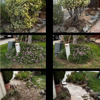 Fresh Edge Lawn Maintenance - Clean up - Lawn Services Near Me Fresh Edge Lawn Maintenance - Clean up - Lawn Services Near Me