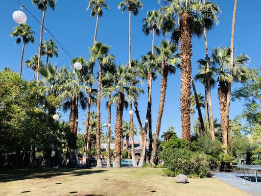 Caliente Tropics Resort - Palm Springs, CA by null