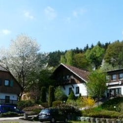 Hotel Waldhaus Wittgenthal - Das Hotel von der Straße aus