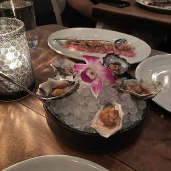 Catch - Sushi Bars Near Me - West Hollywood, California
