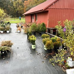 Gallo's of Woodstock - It's Towards The End Of The Season- But You'll Get A Good Supply Regardless