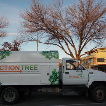 Action Tree Service - Tree Services Near Me - Kelowna, British Columbia Action Tree Service - Tree Services Near Me - Kelowna, British Columbia