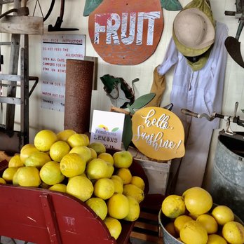 Dooley Groves - Fruits & Veggies Near Me - Ruskin, Florida Dooley Groves - Fruits & Veggies Near Me - Ruskin, Florida