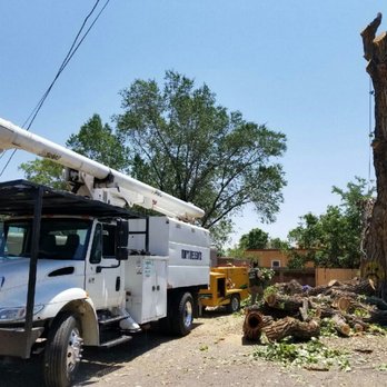 Terry's Tree Service - Tree Services Near Me
