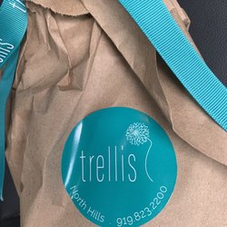 Trellis Floral