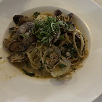 Caffe Concerto - Pasta alle Vongole - Pizza Near Me - Los Angeles, California Caffe Concerto - Pasta alle Vongole - Pizza Near Me - Los Angeles, California