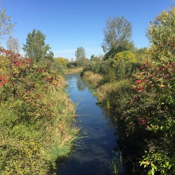Humber Bay Park East - Marsh - Parks Near Me - Toronto, Ontario