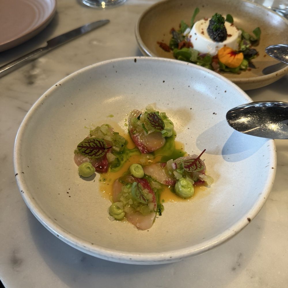 Flour + Water - Amberjack Crudo - Italian Near Me - San Francisco, California Flour + Water - Amberjack Crudo - Italian Near Me - San Francisco, California