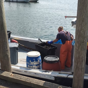 Larsen's Fish Market - Like I said -- as fresh as it gets - Seafood Markets Near Me - Chilmark, Massachusetts