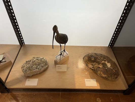 San Diego Natural History Museum by null