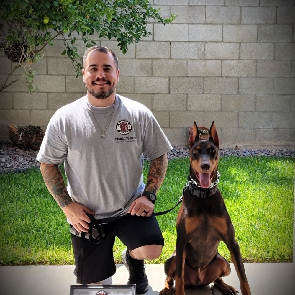 Restored k-9 Academy - Pet Training Near Me Restored k-9 Academy - Pet Training Near Me
