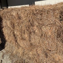 Sellers Feed & Seed-Georgia Outfitters - Pinestraw bales available year round.